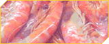 Prawns